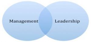 Leadership & Management Application 