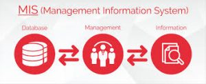 Management Information Systems Articles
