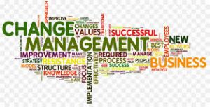 Managing Organizational Development & Change